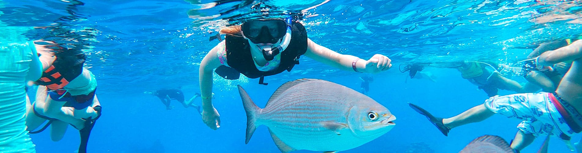 Snorkeling in MEXICO with Dressel Divers