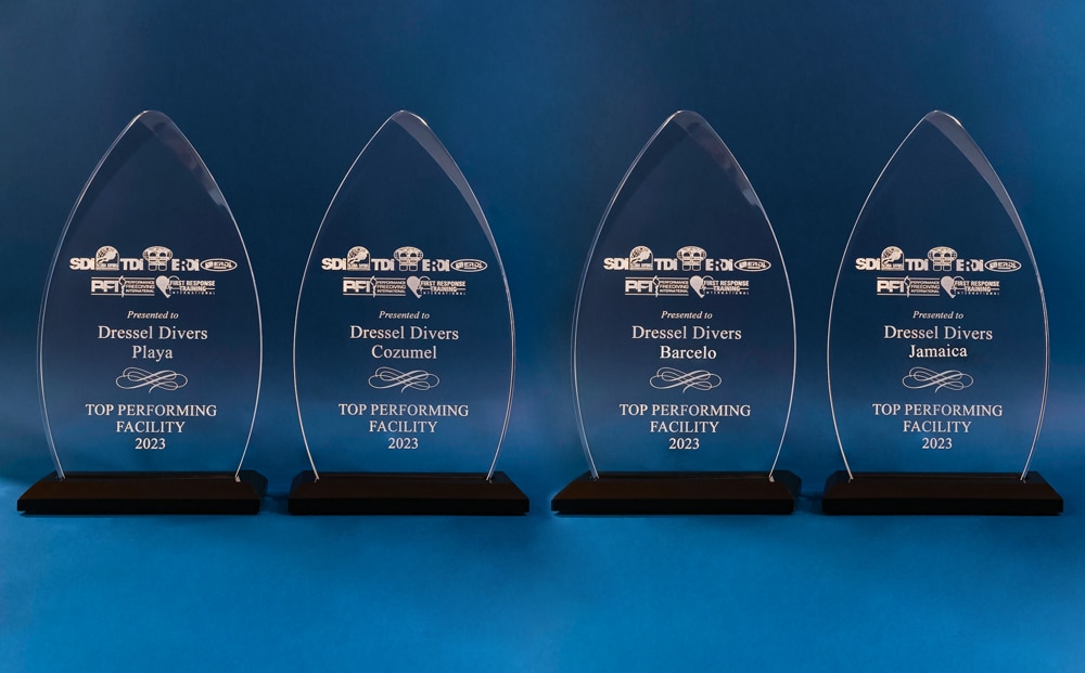 dressel awards