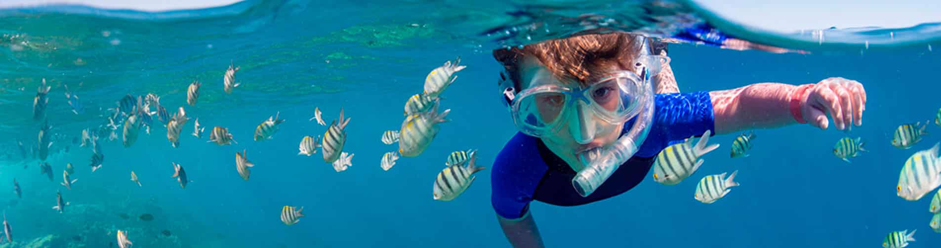 Hacer Snorkel en PUERTO AVENTURAS con Dressel Divers