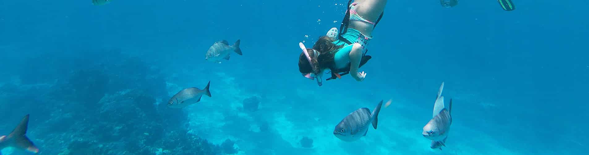 SNORKELING with Dressel Divers