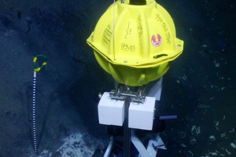 8. ocean exploration - cuánto del océano ha sido explorado