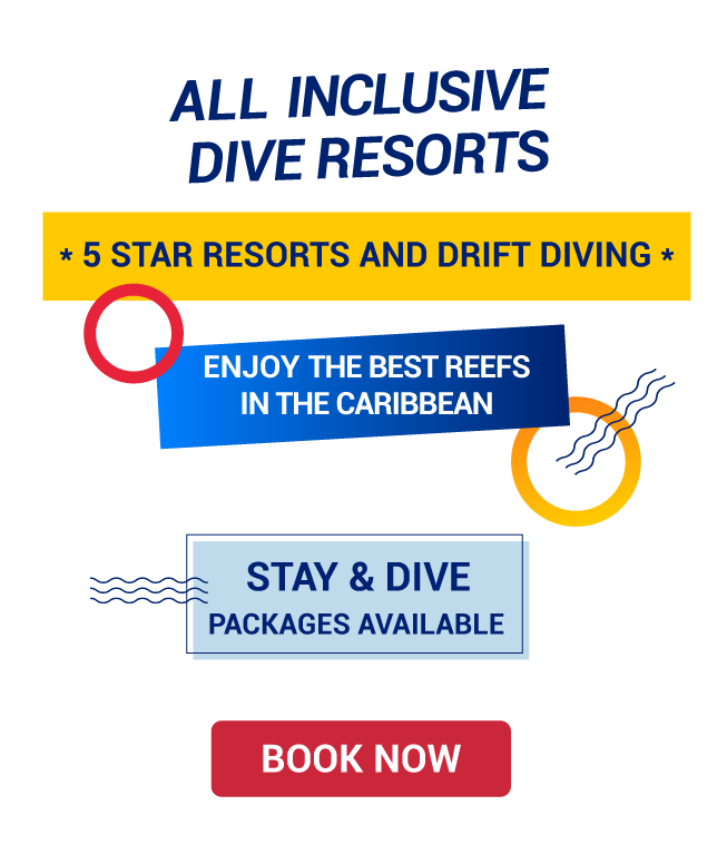 DIVE RESORTS Stay & Dive in Mexico, Dominican Republic & Jamaica