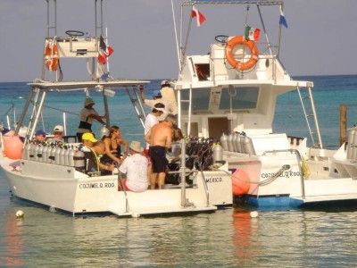 Dressel Divers jamaica