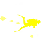 All-the-diving-you-want-Black-friday All-the-diving-you-want-Black-friday