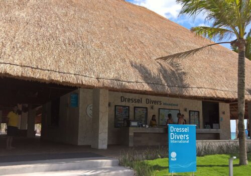 dive shops puerto aventuras