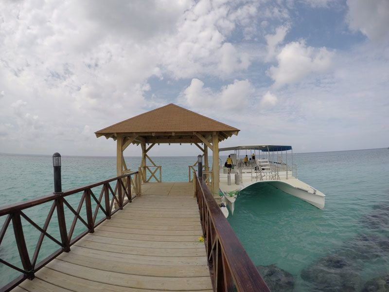 Scuba diving in BAYAHIBE with Dressel Divers