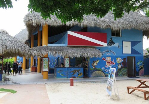 bayahibe snorkeling shops