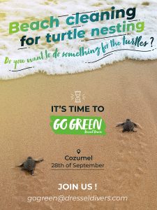 Beach Cleaning For Turtle Nesting, Next September 28th In Cozumel