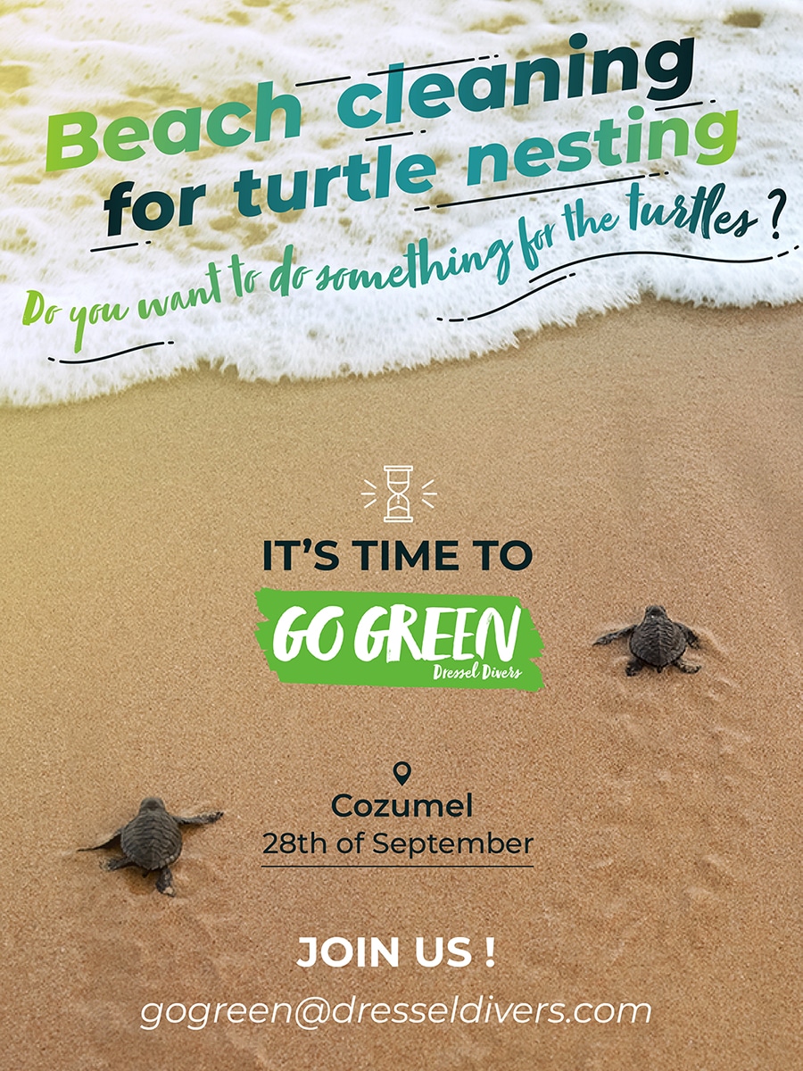 Beach Cleaning For Turtle Nesting, Next September 28th In Cozumel