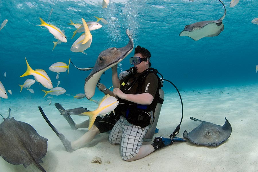 Best Islands for Scuba Diving - Cayman - mejores islas para bucear