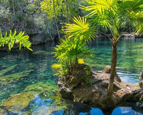 Best Cenotes In Mexico Ponderosa - mejores cenotes de mexico