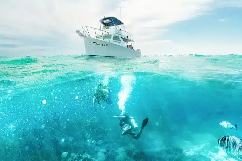 Best Places for Beginner Scuba Divers 4 Los mejores destinos para buceadores principiantes en todo el mundo.