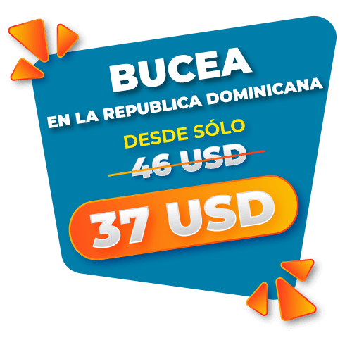 bucea en arrecifes de RD por 37 usd