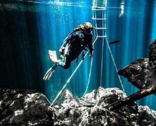 CENOTE-DIVING-EXCURSION-DRESSEL-DIVERS-PUERTO-AVENTURAS_2