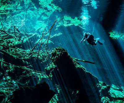 CENOTE Diving Excursion & Tour with Dressel Divers