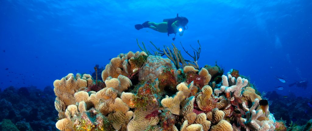 COZUMEL
For Divers & Snorkelers