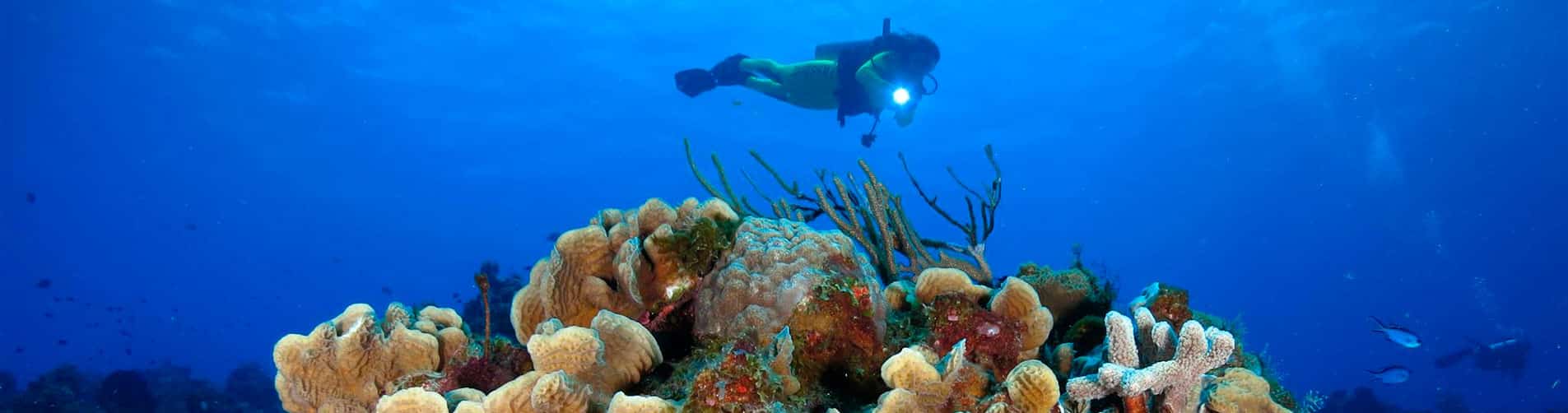 COZUMEL Excursion & Tour with Dressel Divers