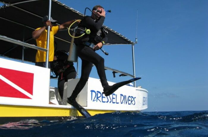 Scuba Diving Cancun - frogick