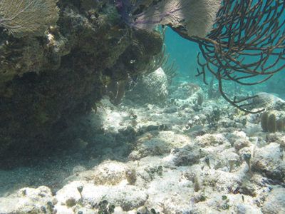 cancun snorkeling shops