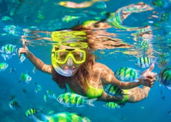 Caribbean Snorkeling excursions (4)