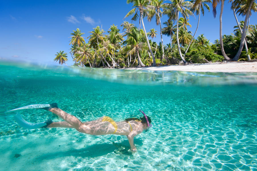 Caribbean Snorkeling tours (saona)