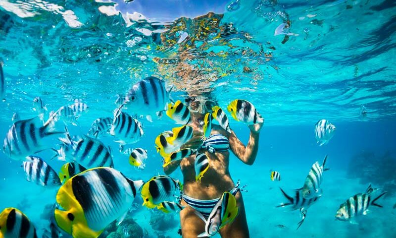 Caribbean Snorkeling (8)