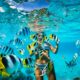 Caribbean Snorkeling (8)