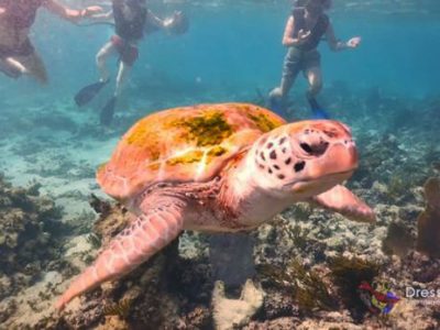 Caribbean Snorkeling Mexico