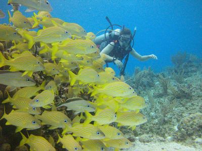 activités île de catalina repúblic dominicaine