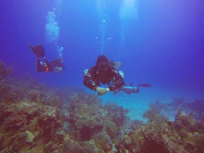 tours catalina island