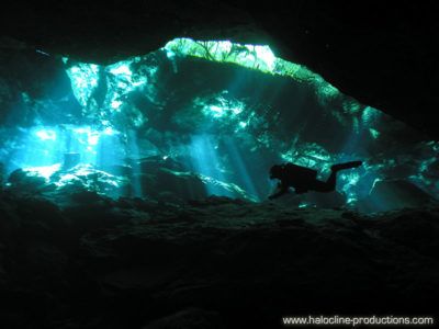 excursion plongée cenote