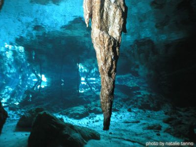 plongée cenote activité