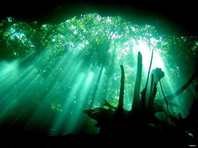 activités plongée cenote