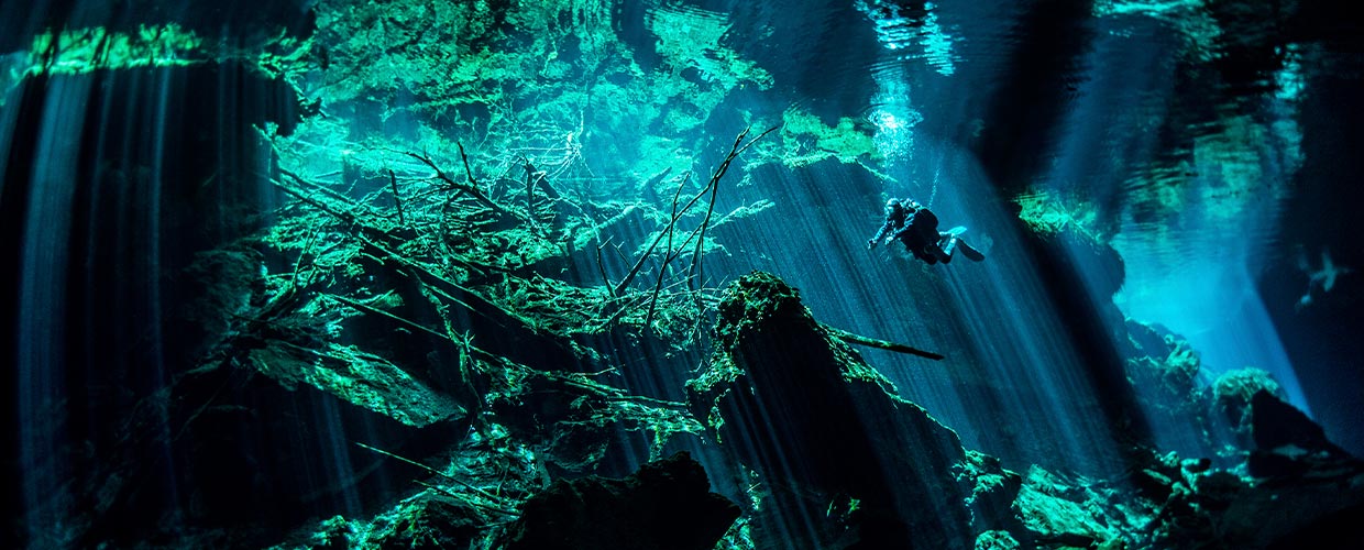 Excursion de Plongée en CENOTE avec Dressel Divers