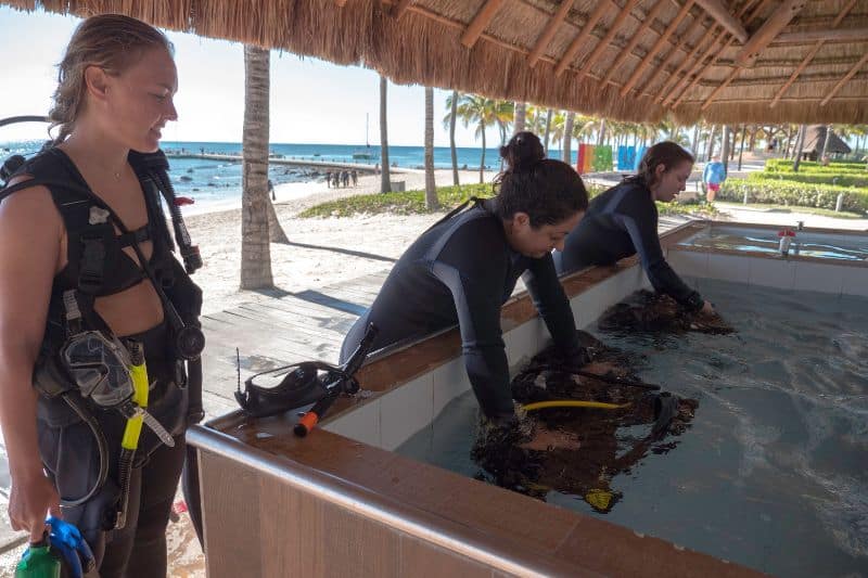 Cómo lavar neopreno -wetsuit washing- wetsuit care -how to wash neoprene