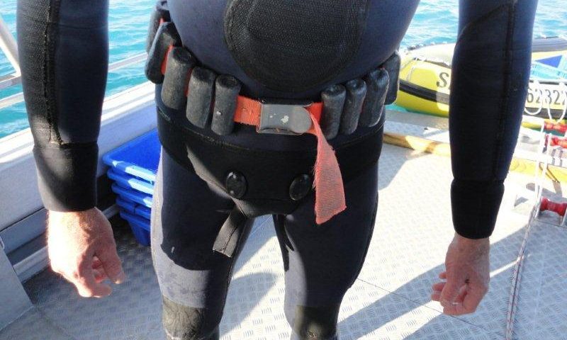 Correct Size Of diving weight belt - main pic