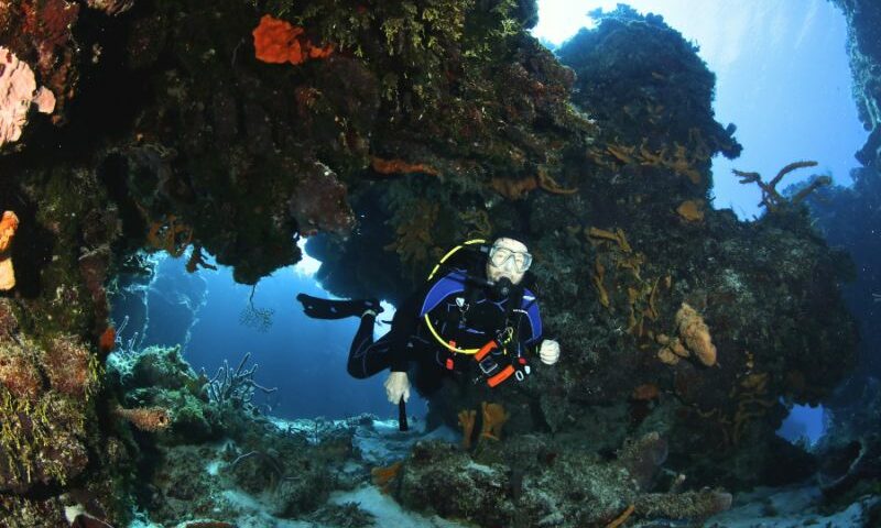 Cozumel Scuba Diving Certification ppal certificación de buceo en Cozumel