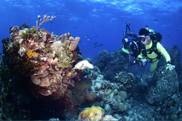 Cozumel Scuba Diving Pictures - 4