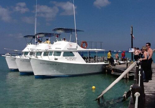 snorkel cozumel