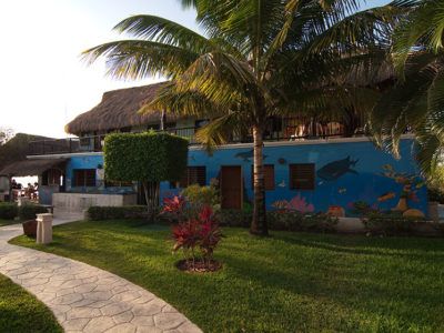 Snorkeling Cozumel