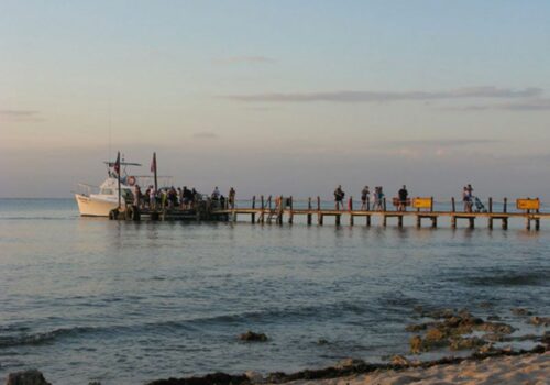 cozumel snorkel