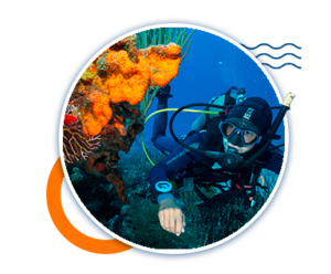 Cozumel Diving Excursions