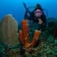 Current Diving - buceo de corrientes