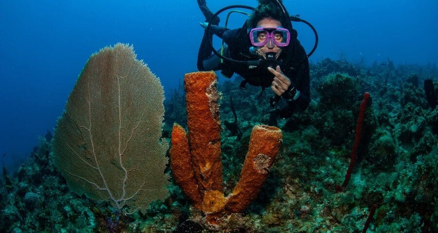 Current Diving - buceo de corrientes