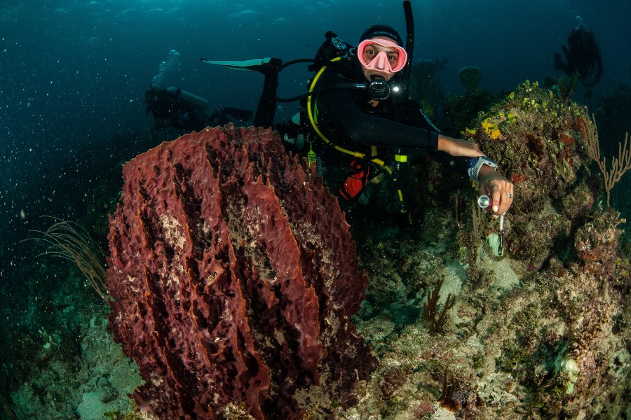 Current Diving_ How to Deal with downdrafts - buceo de corrientes (2)