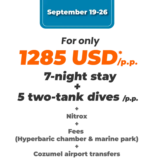 DATES-TO-CHOOSE-DAY_1.2