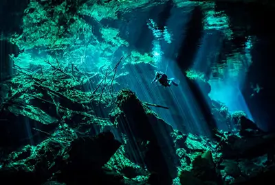 DIVE-RESORT-COZUMEL-CENOTES PADI Dive Resort in COzumel - Cenotes