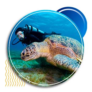 dive resorts in jamaica - EXCURSIONS