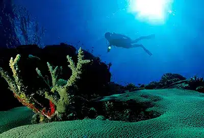 dive resort in punta cana - divers day dive resort in punta cana - divers day
