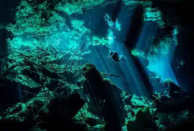 dive resorts in mexico - excursionsd